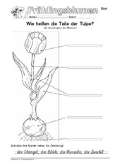 Arbeitsblatt S95 2.pdf